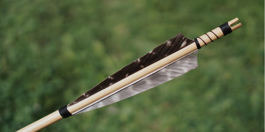 How Far Can a Compound Bow Shoot?